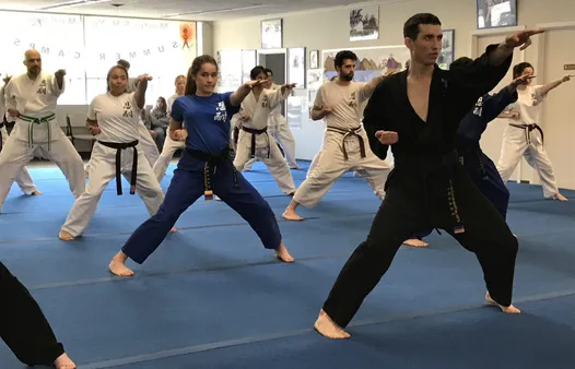 Learn the Basics of Martial Arts Techniques and Moves